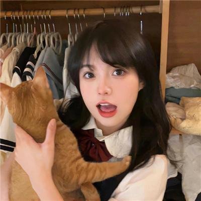 禁域之恋